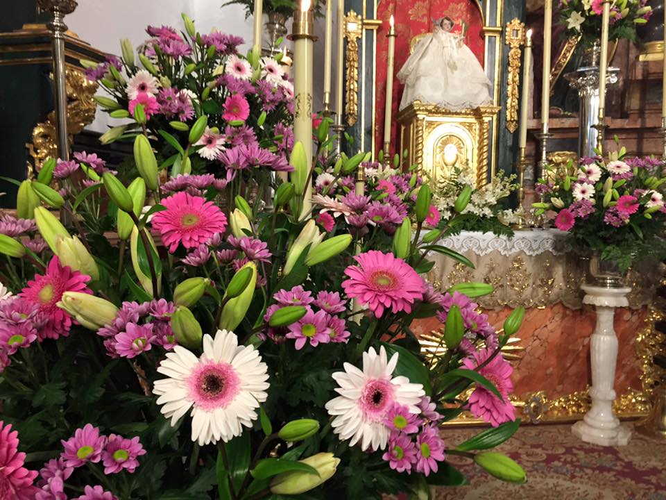 Fotos de la Romería de la Candelaria 2016 en Cabra